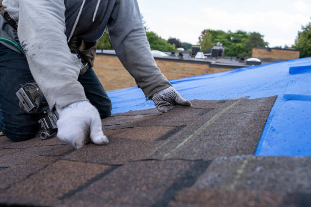 Best Storm Damage Roof Repair  in Little Walnut Village, NM