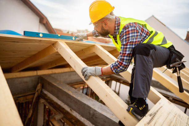 Best Roof Gutter Cleaning  in Little Walnut Village, NM
